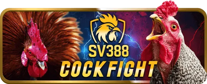 Bàn Baccarat trực tuyến tại sinbet casino